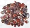 Rojo y Marrón, Vendido por Peso (gramos), 12 a 14 piezas por 100g