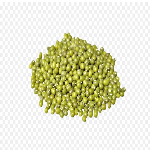Green Mung Beans / Vigna Mung Beans Premium Quality Conventional