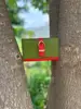 Multi