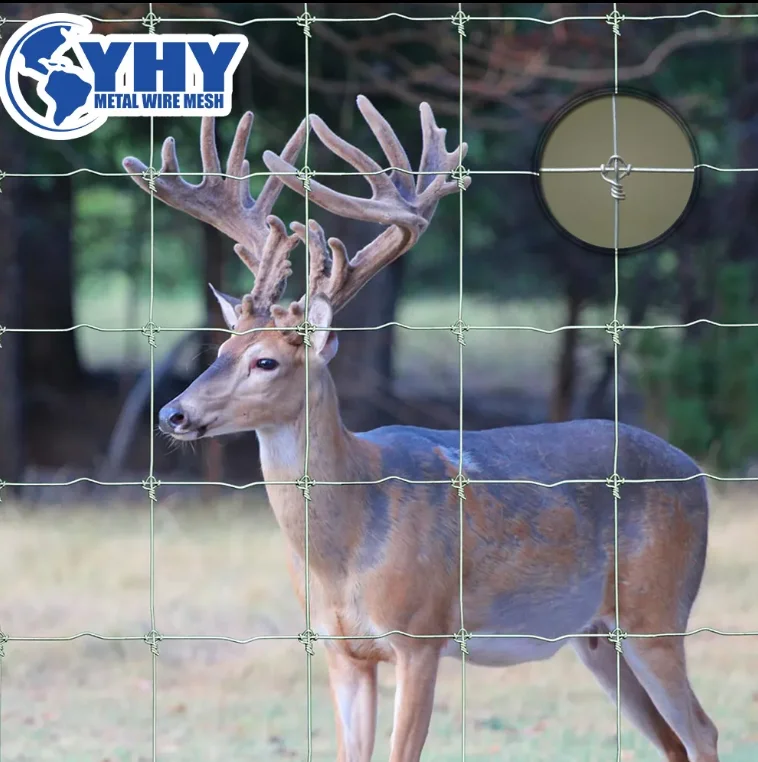 Best Price 6ft Hot Dipped Galvanized Deer Fence/Hinge Joint Fence for Farm Use