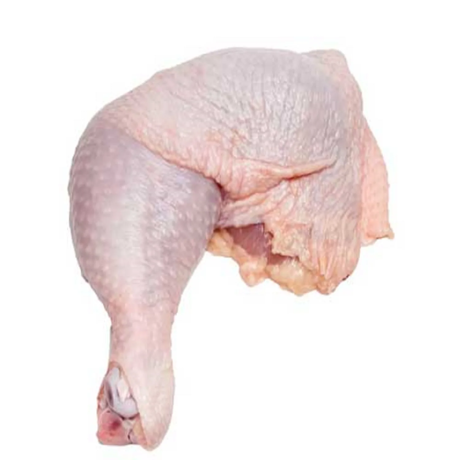 Quarter Chicken Leg Halal Frozen Chicken Leg Meat / Frozen Chicken Leg