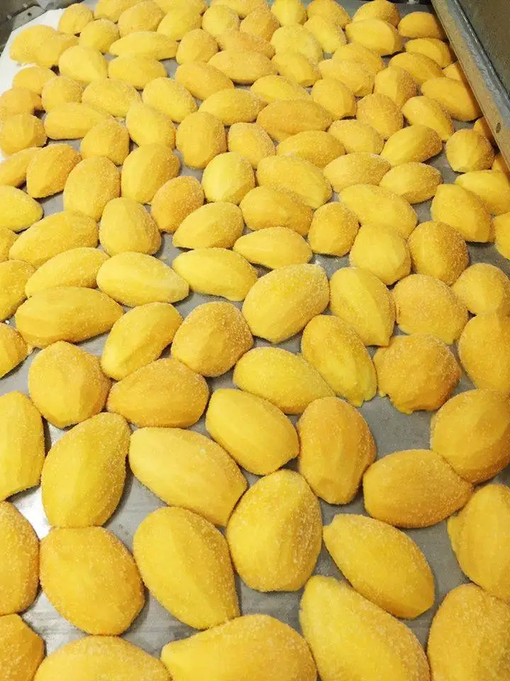 Fresh Mango Chunks Frozen Mango Dices Top Sale Freeze Dried Mango Fruit