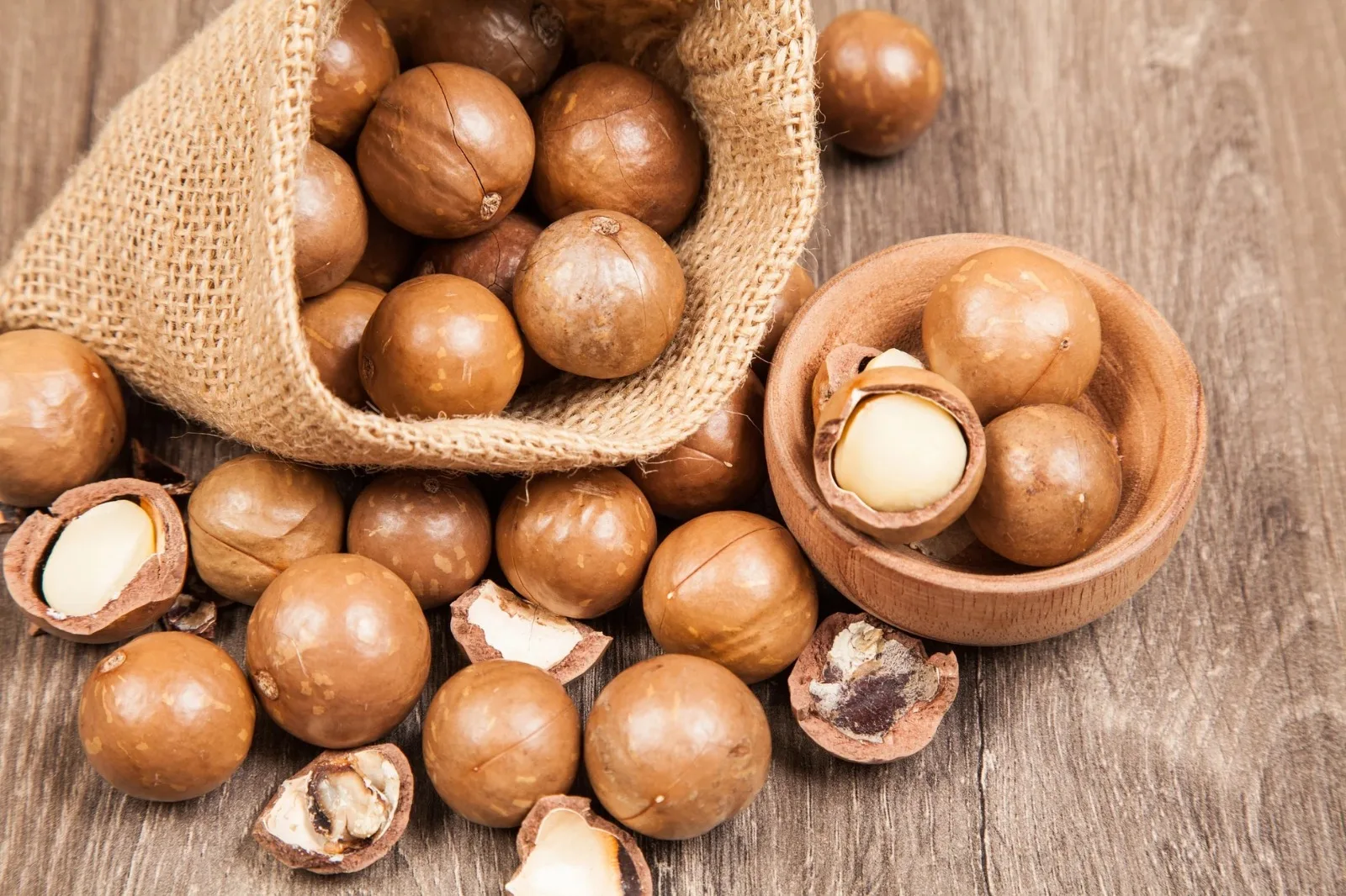 Organic-Dried-Blanched-Macadamia-Nuts-Size-to-International-Standard-Germany-Origin-Fast-Delivery-Stock-500gr-Pack-for-Snacking.jpeg