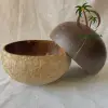 Marrón