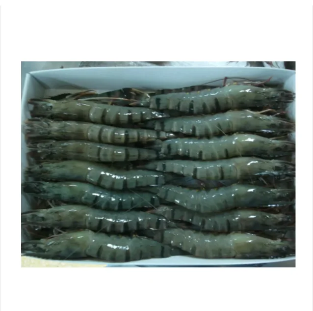 Fresh And Frozen Black Tiger Shrimps With Cheap Price Buy Frozen