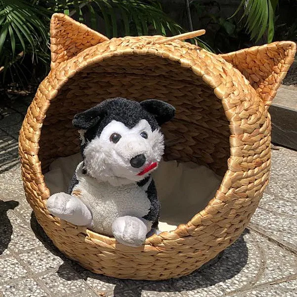Stunning Pet Houses Crafted From Natural Dyes image