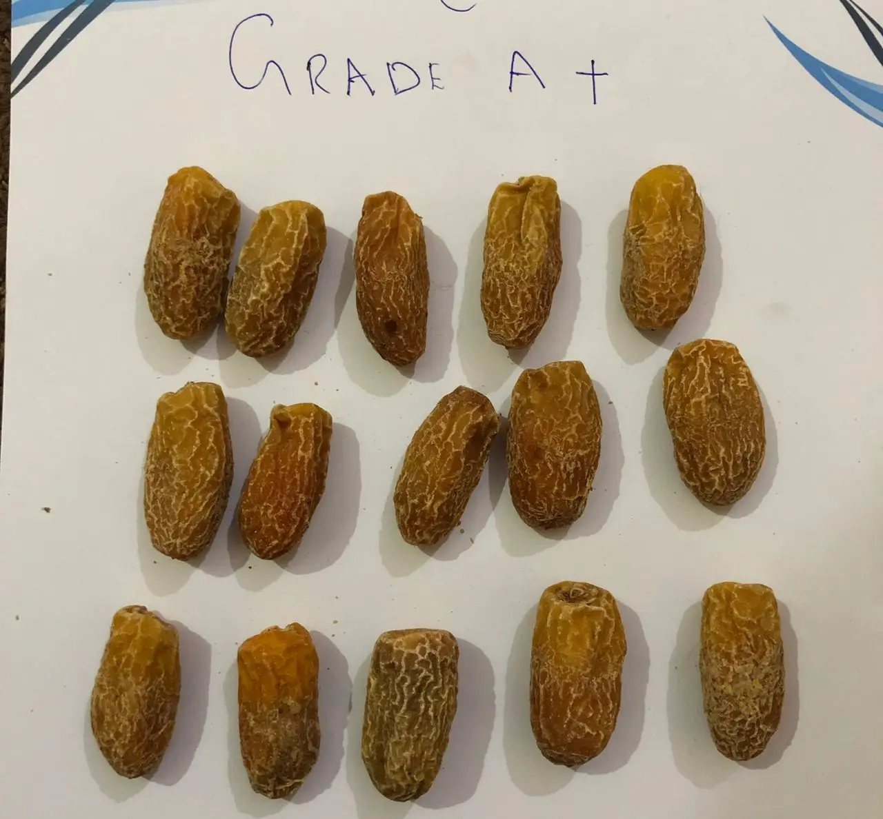 grade A Dry dates.jpg