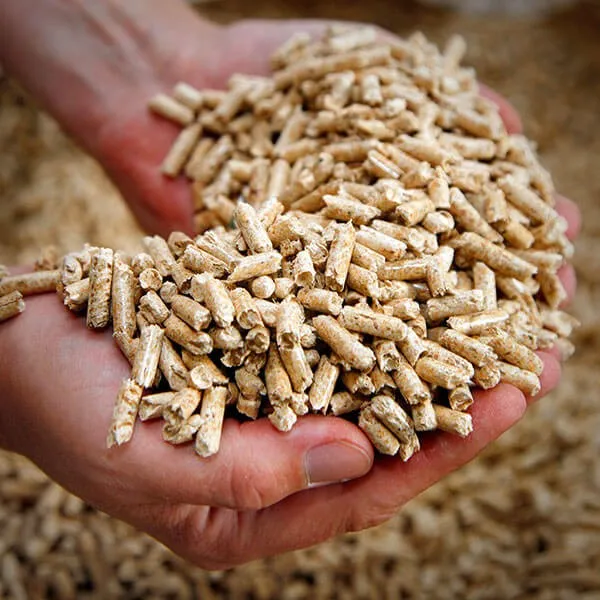 Premium Quality White Wood Pellets Biomass Pellets Wood Pellets 15