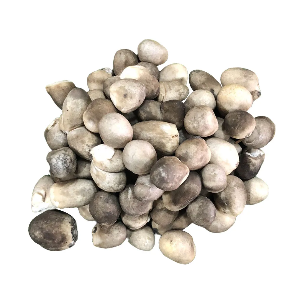 Organic Dried Straw Mushroom - N_m m_ r_m VIETNAM