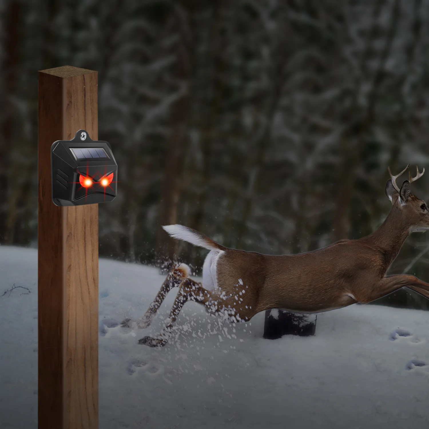 Animal  Deterrent Devices With Red LED Lights Solar Powered Predator Eye Nighttime Animal Repeller Solar Animal Deterrent