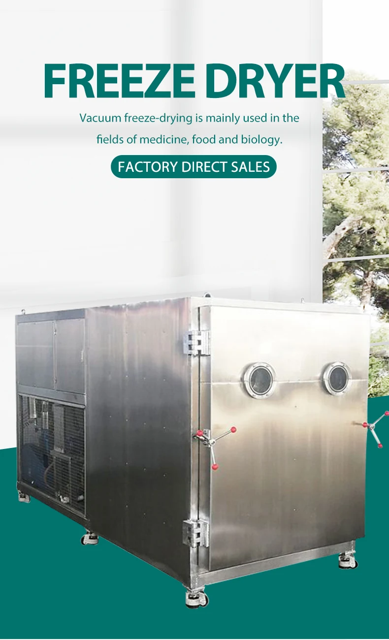 Commerical Freezedryer / Lyophilizer Freeze Dryer 100kg 1500kg Freeze