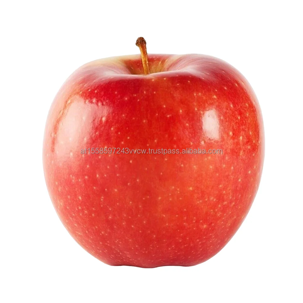 bb.png