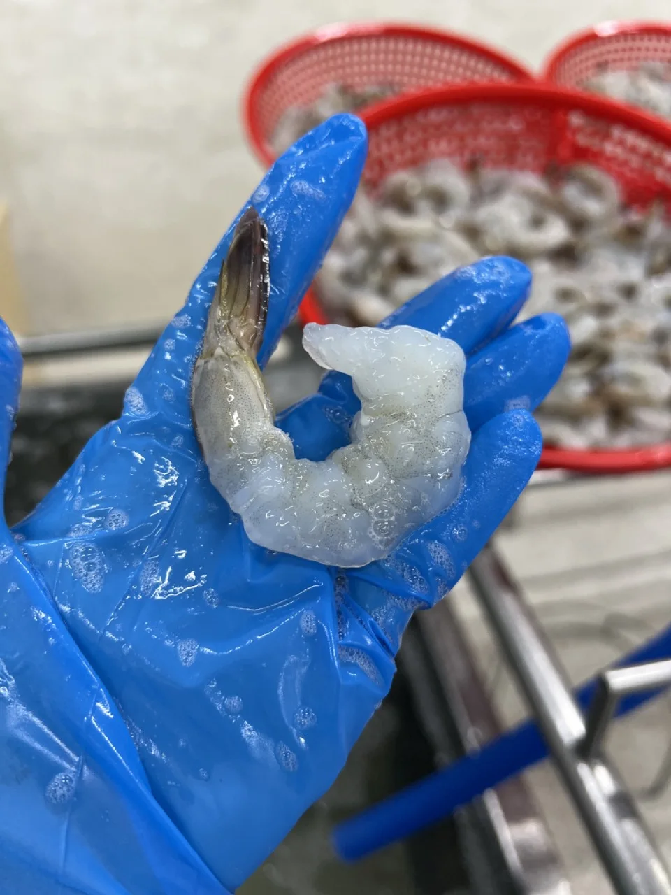 Premium Vannamei Valueadded Product From Vietnam With Cheapest Price