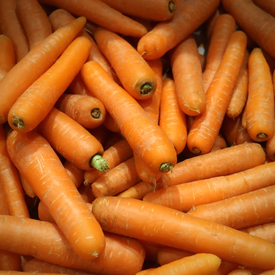 carrots1.png