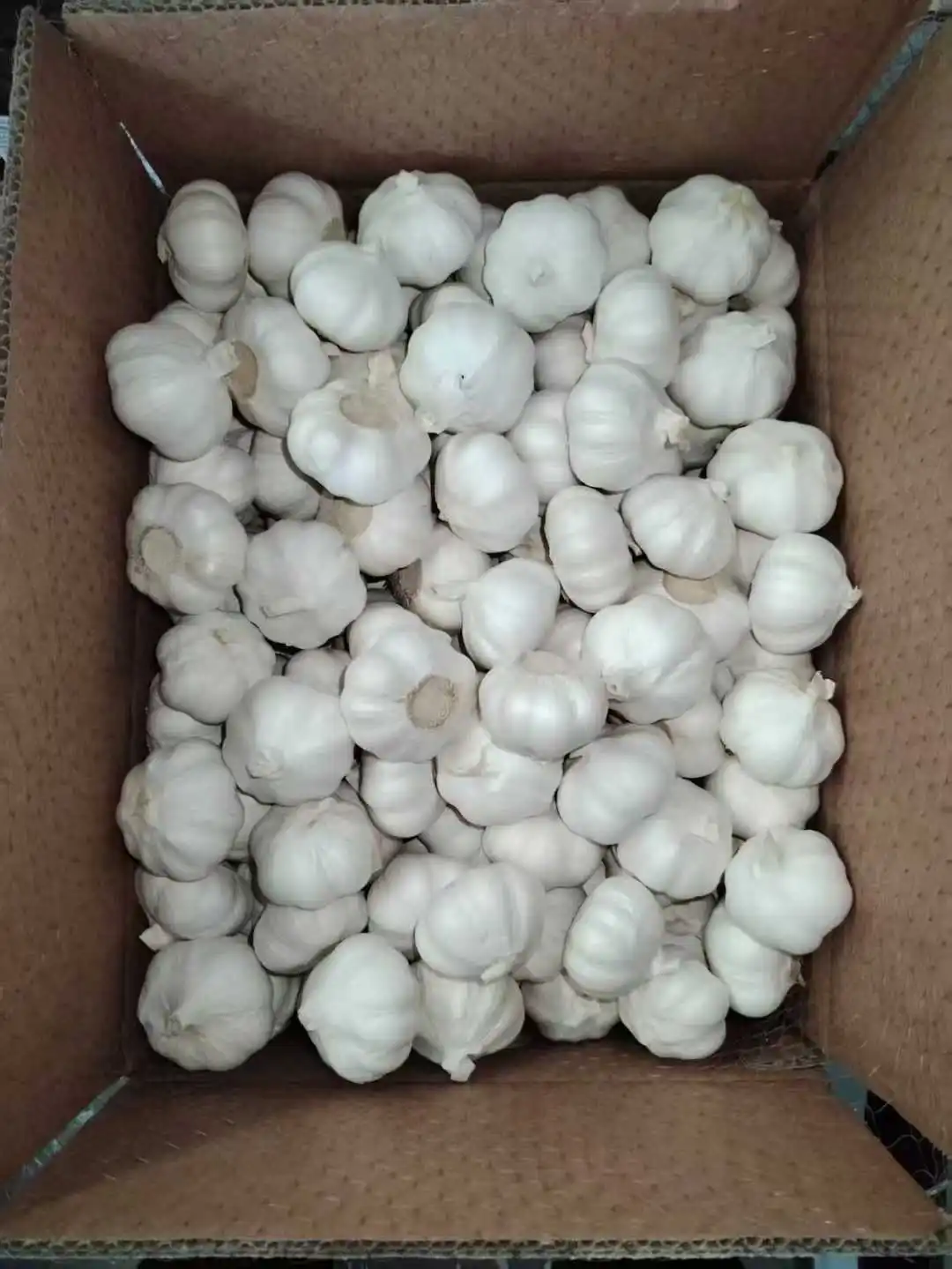 Ajo Fresh White Garlic Fresh Garlic From China Wholesale Price Wholesale Supplier Best Quality Fresh Cheap Price
