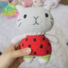 Watermelon Cat