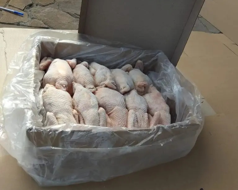 chick 2 - Copy.jpg
