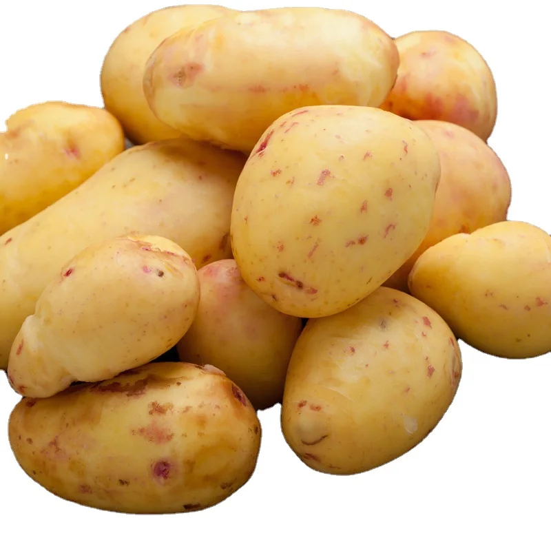 Fresh Potato Potatoes Quality Fresh New Crop 2023 Buy Fresh Potatoes   A1e4872ef5c1846759a30b469fec54925D 