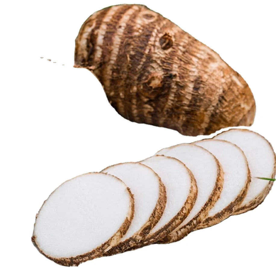 Fresh Taro For Export Natural Delicious Taro Good Quality Taro Supplier