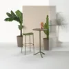 Olive Green