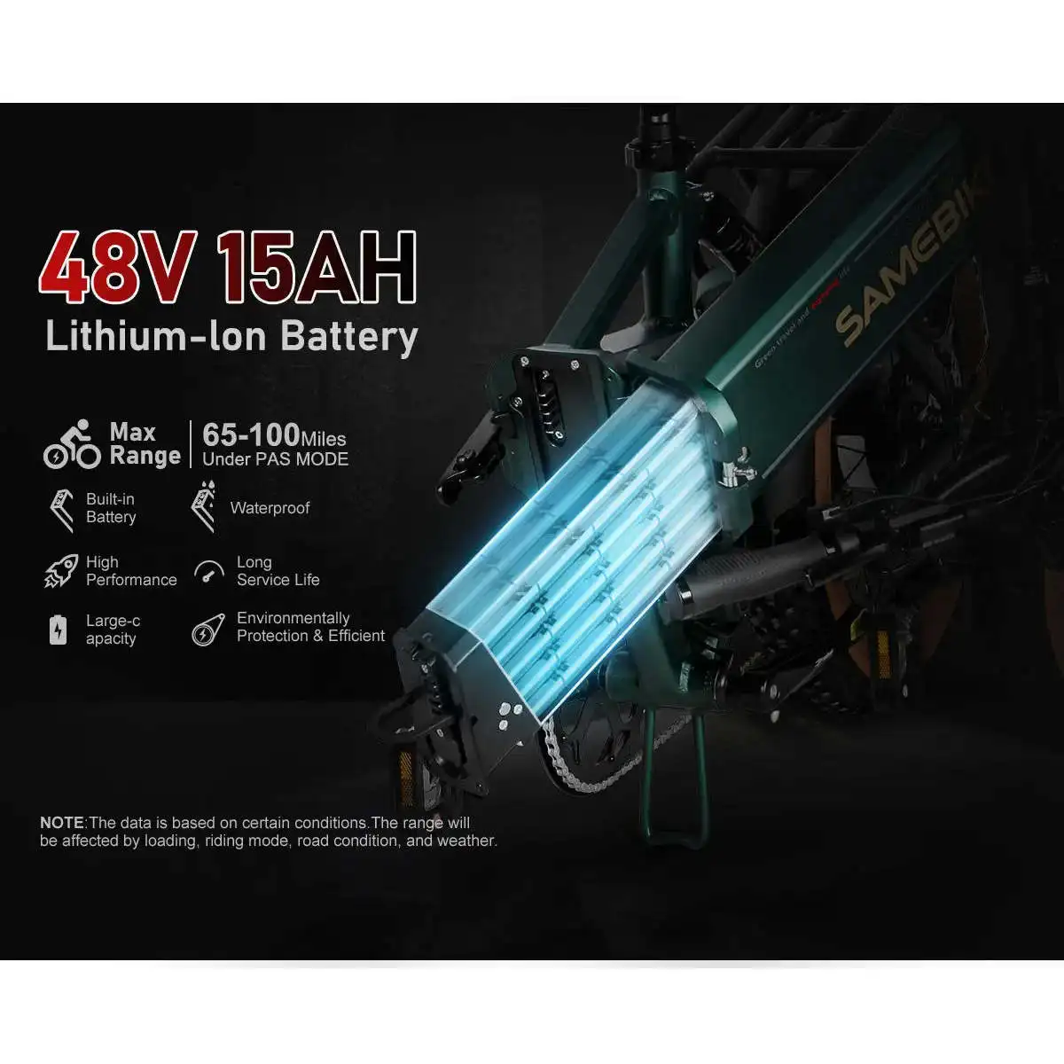 XWLX09-II 1000W Fat Tire Mountain E-Bike with 48v 15ah Battery Dual Suspension