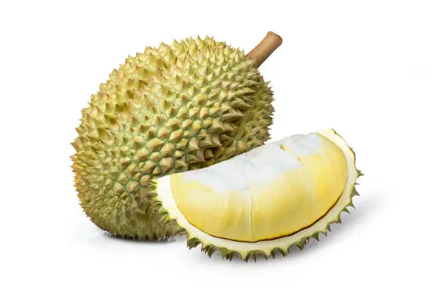 Sweet Fresh Durian Pack in Box From Thailand /  Fresh and Frozen Organic Durian Monthlong OEM Offered Yellow Tropical Style Thai