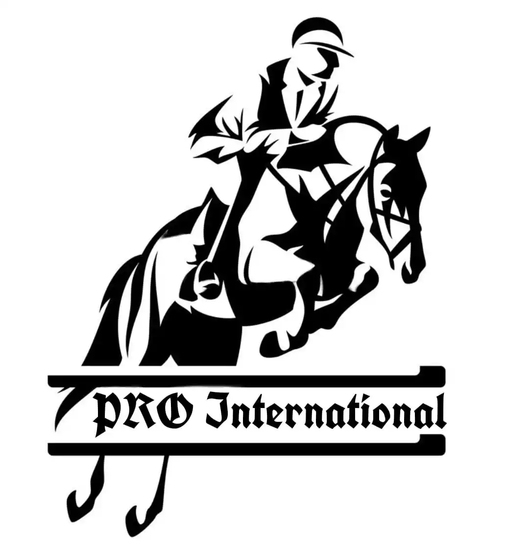 PRO INTERNATIONAL - saddle, bridle