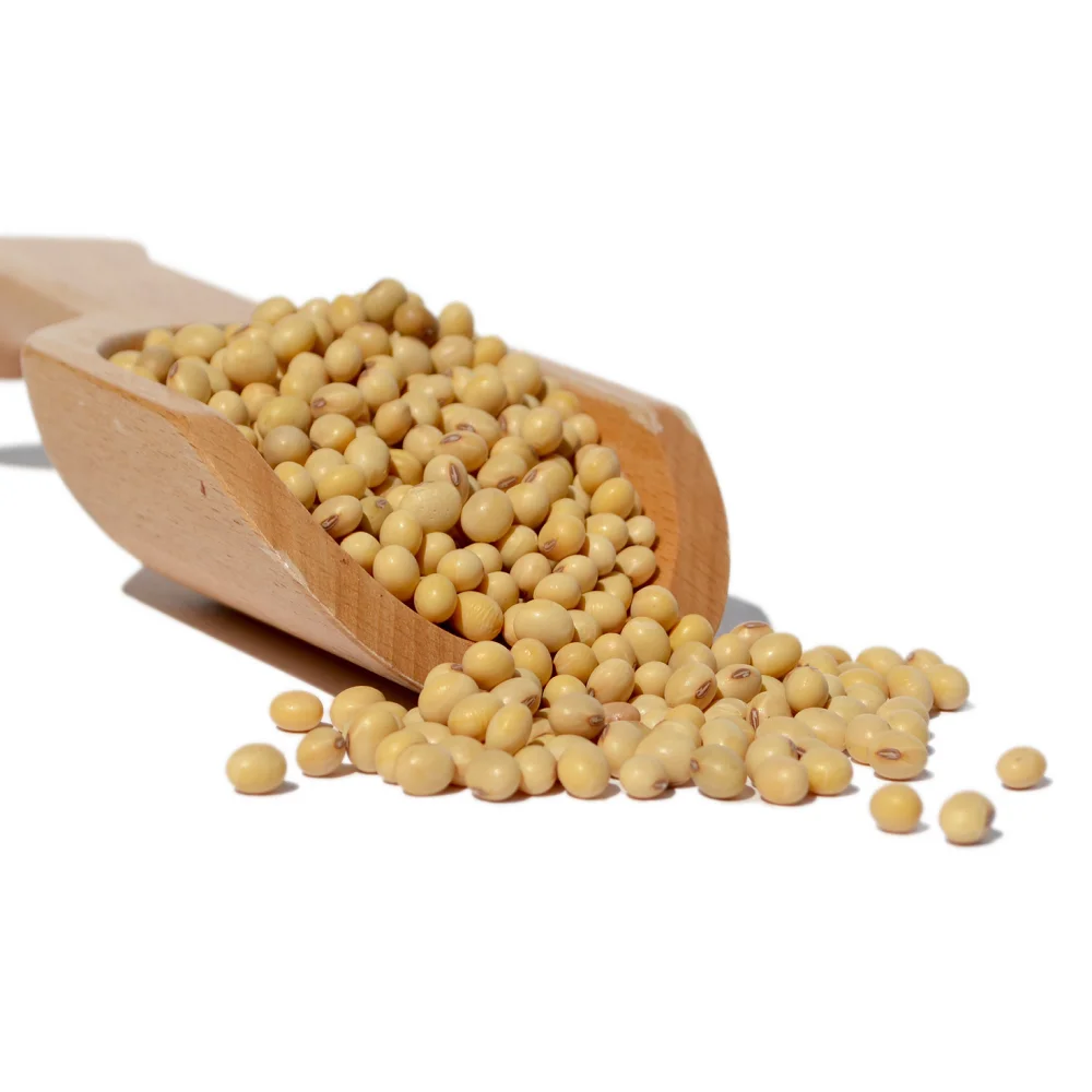 2800 (1).png