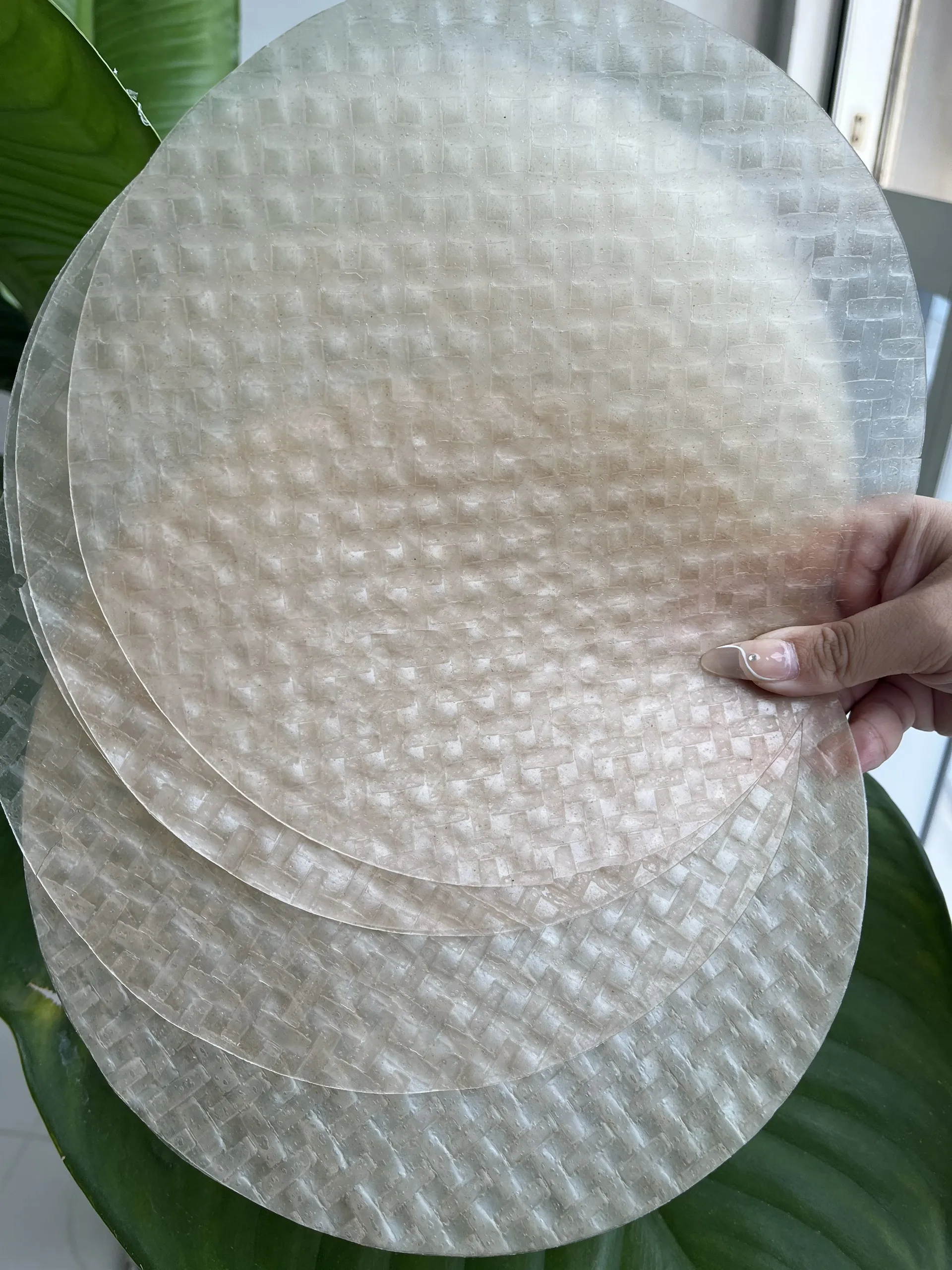 Rice Paper From Vietnam Factory (Ms Quincy WA 84858080598)