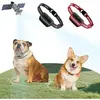 Multi-colored for 2 Dogs