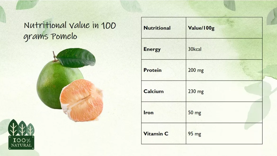 High Quality Organic Sweet Fresh Pomelo From Vietnam Ready To Ship Best