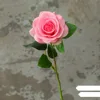 dark pink