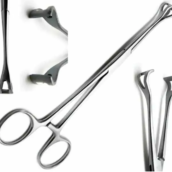 Strumento Veterinario In Acciaio Pinza Babcock Tissue Per Chirurgia Veterinaria - Strumento Chirurgico In Acciaio, Nuovo, Per Interventi Delicati Forceps Uses