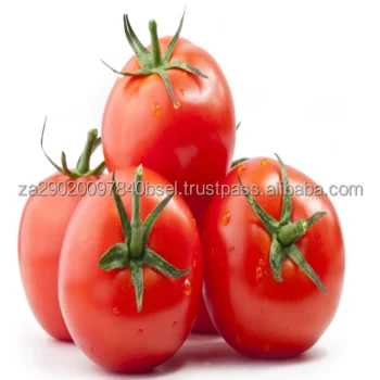 h.png
