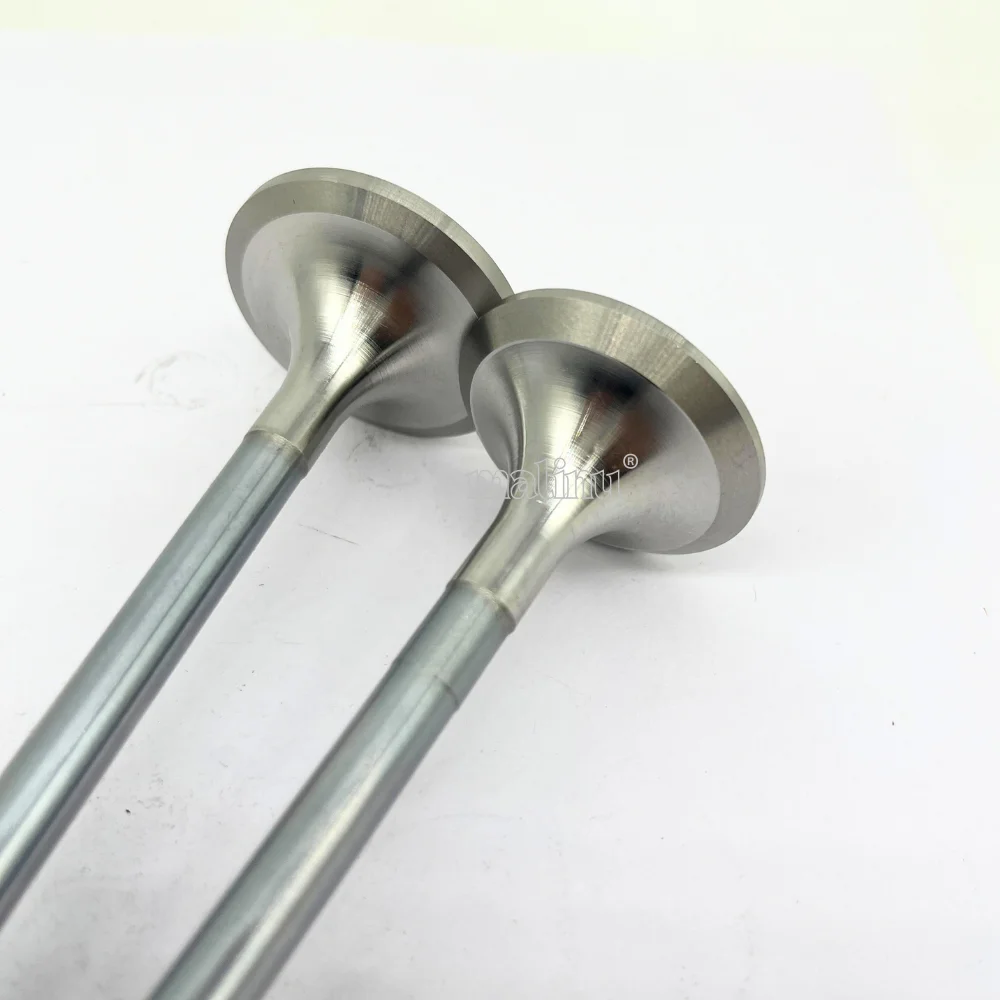 VOE 21016539 Exhaust Valve for Diesel Engines D13 D13C D13F TAD1340TAD1350 for VOLVO PENTA Spare Parts 7421016539