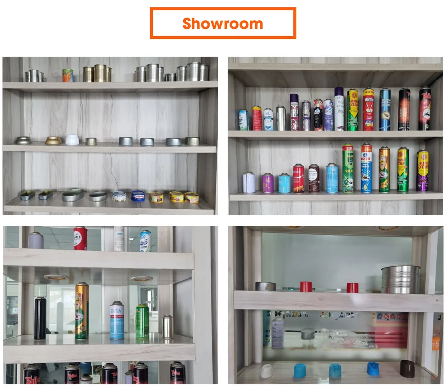 Multipurpose Custom Size Capacity Metal Empty Aerosol Tinplate Empty Spray Can