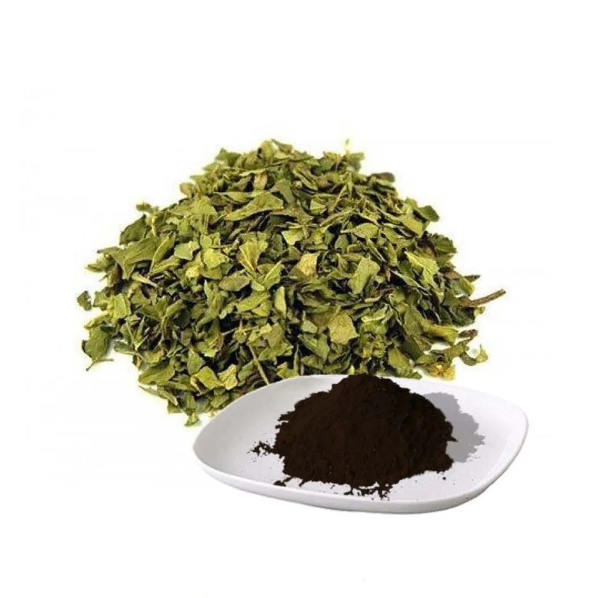 High Quality Oregano Vulgare L Extract Many Useful Properties Protects