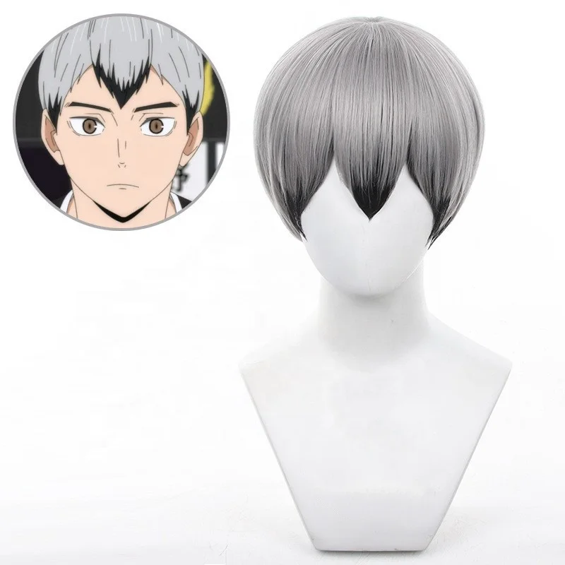 Wholesale Haikyuu Cosplay 30cm Short Gray Black Mixed
