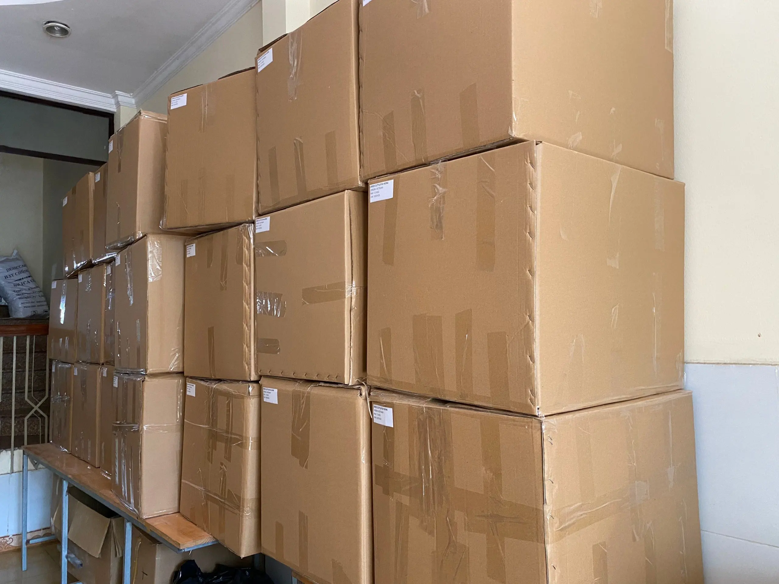 Hot Sell 2024 Seashell From Vietnamese Supplier Scallop Shells For