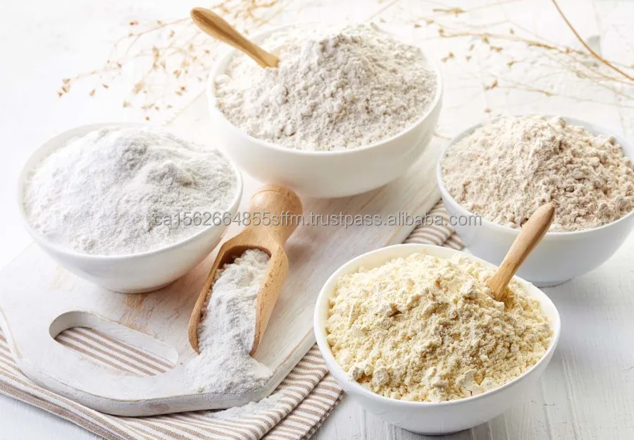 AdobeStock_117927696.jpg