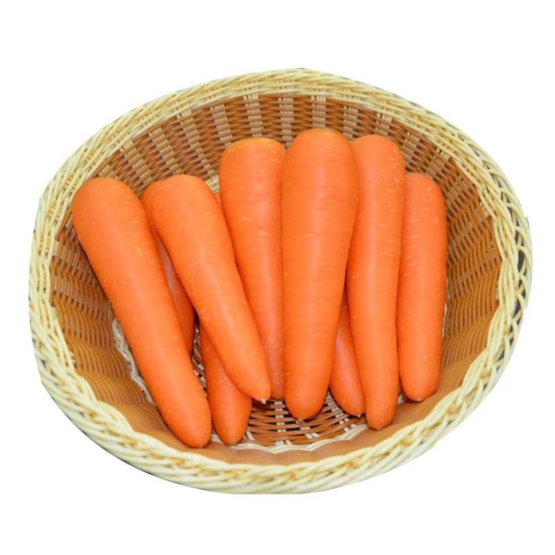 Купить морковь оптом. Китайская морковь. Морковь опт. Красная морковь купить. Морковь красная пучок.
