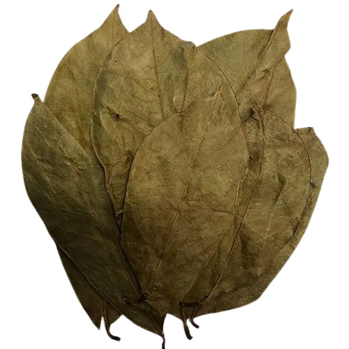 DRIED SOURSOP LEAVES / DRY SOURSOP LEAF FROM VIETNAM WITH CHEAP PRICE