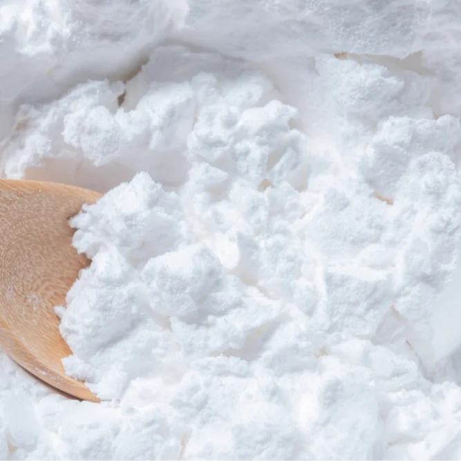 Native Tapioca Starch / Tapioca Pearls / Modified Tapioca Starch Native, Corn Starch Corn Starch