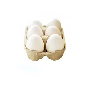 Buy Fresh Table Eggs Brown and White Wholesale Price