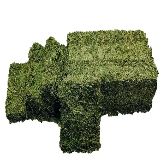Alfalfa Hay For Animal Feed Ready To Deliver Buy Horse Hay Feeders For Sale,Alfalfa Hay For