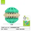 Light Mint Green