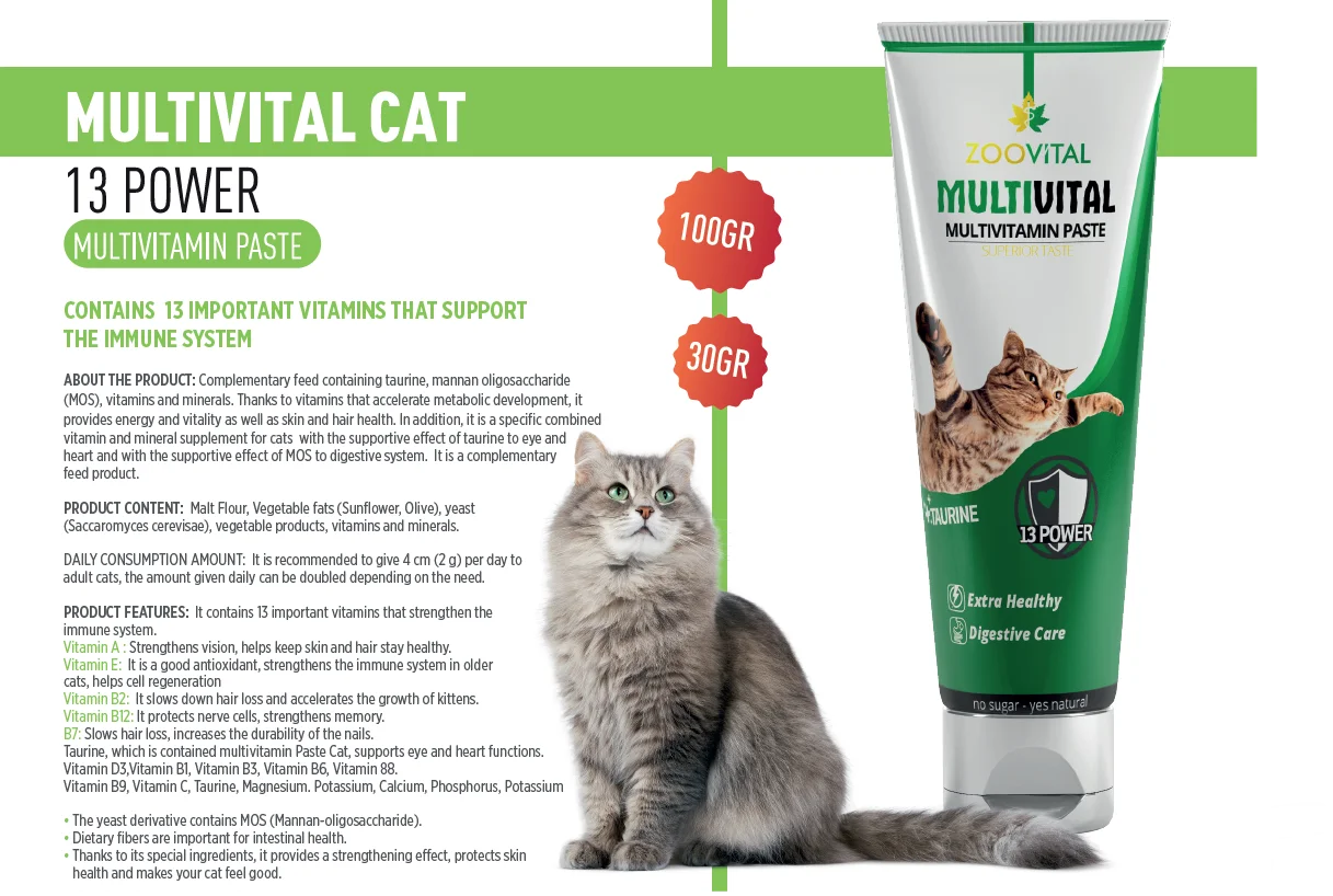 Cat 13 Power Multivitamin Paste 13 Essential Vitamins Support The