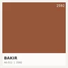 Copper 2592