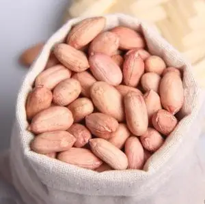 High Quality Blanched Dried Red Skin Grade a Peanut KBS Brand 12 Months Shelf Life 25kg Packaging Food Use