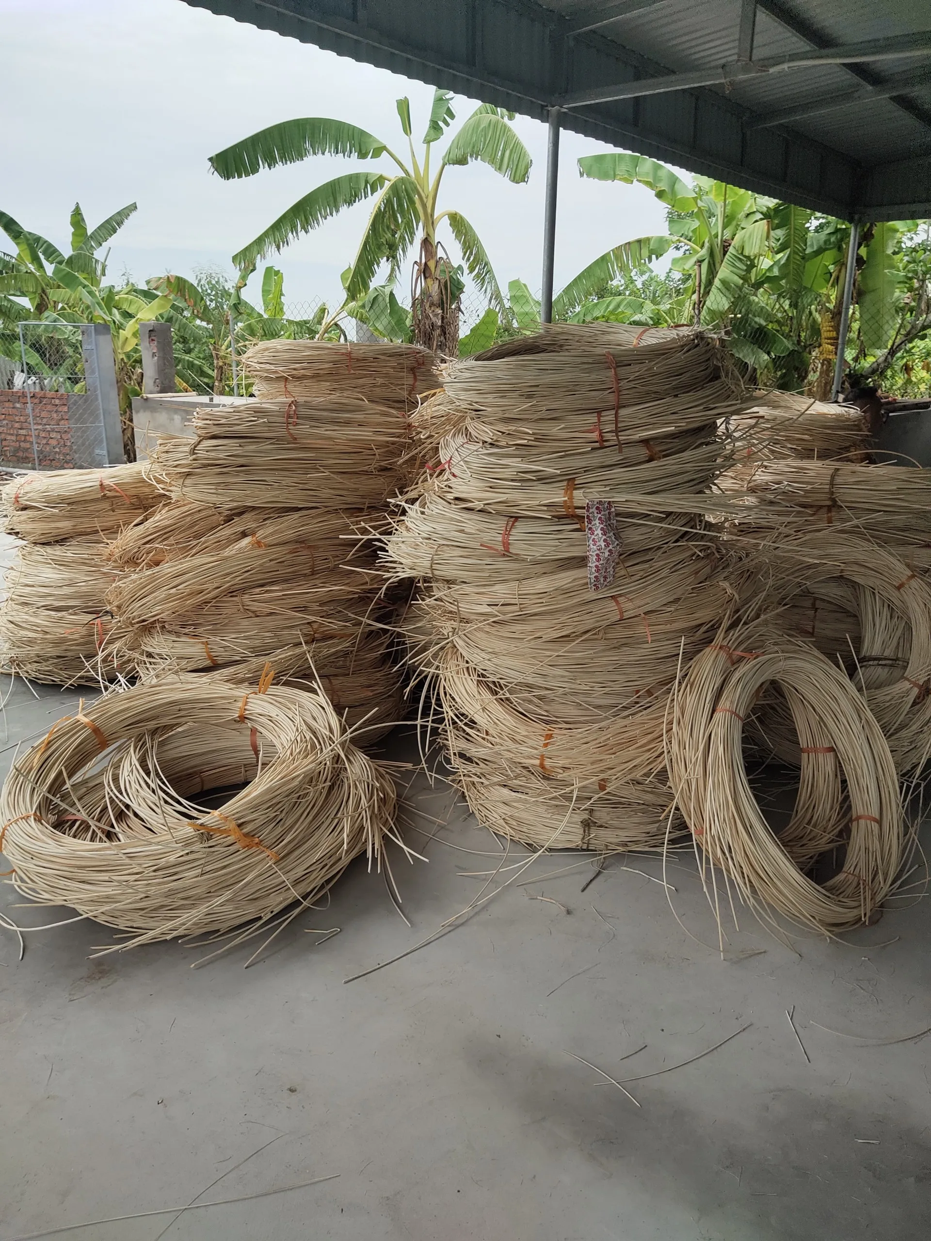 Vietnamese Raw Rattan Cane Natural Rattan Core Cheap Price For Export ...